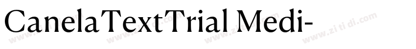 CanelaTextTrial Medi字体转换
